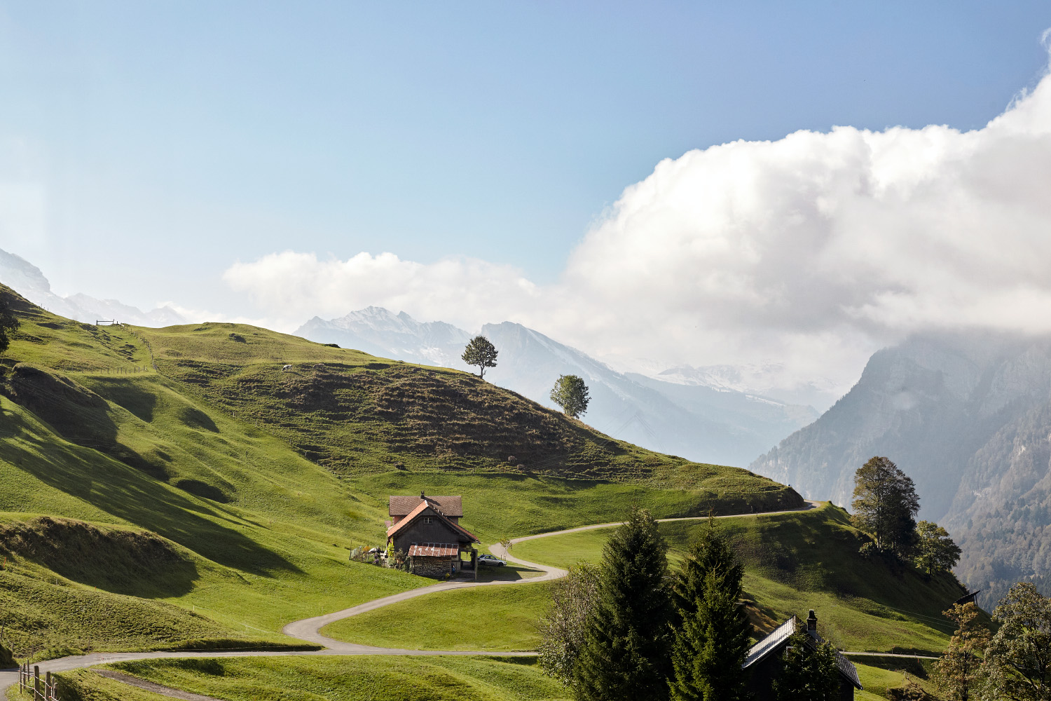 IMG_9109-florian-lierzer-photography-1