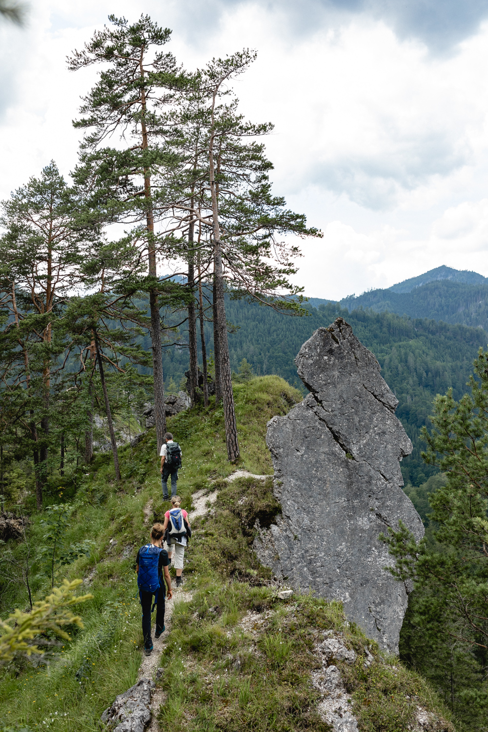 SuchergebnisseWebergebnis mit SitelinksLuchs Trail