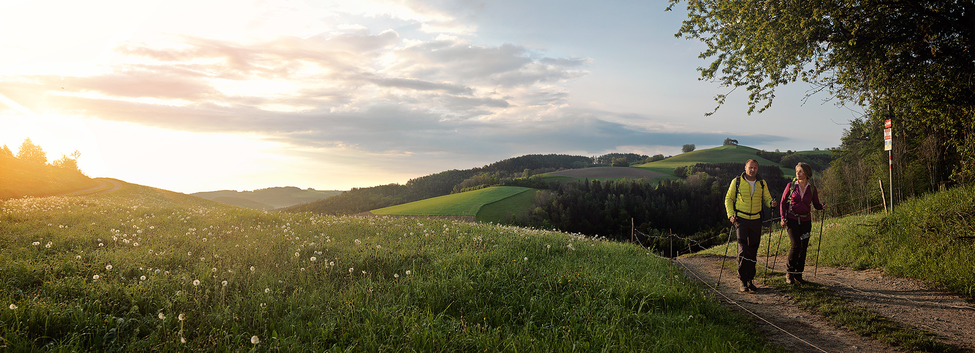 wa_V_02.3-FLorian-Lierzer-Landscape-Niederoesterreich-Werbung-2
