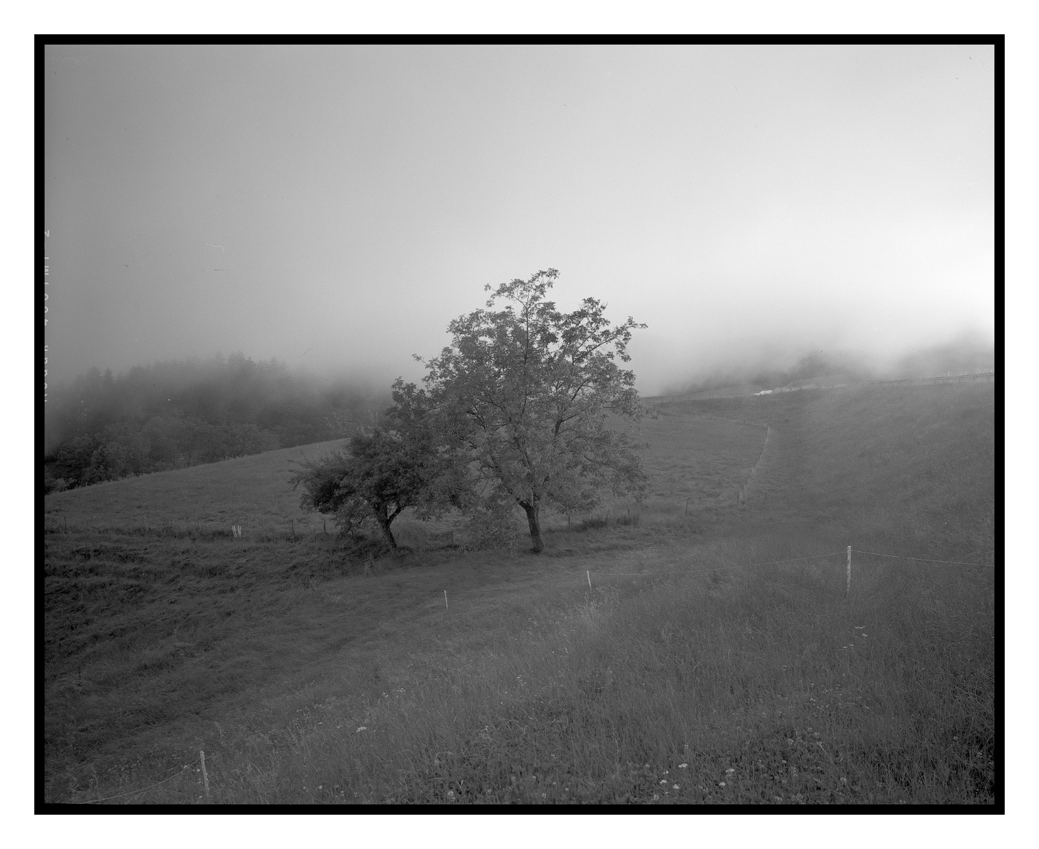 film-481.1-1500px-II-frame